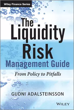 The Liquidity Risk Management Guide. From Policy to Pitfalls, Gudni Adalsteinsson