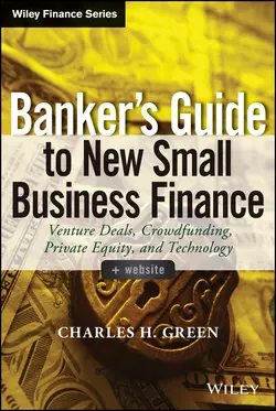 Banker′s Guide to New Small Business Finance. Venture Deals, Crowdfunding, Private Equity, and Technology, Charles Green