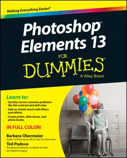 Photoshop Elements 13 For Dummies Barbara Obermeier и Ted Padova