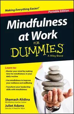 Mindfulness At Work For Dummies, Shamash Alidina