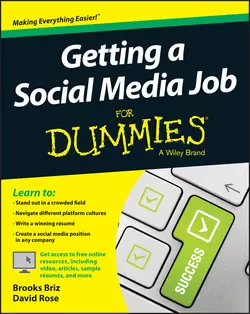 Getting a Social Media Job For Dummies, David Rose