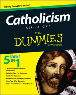 Catholicism All-In-One For Dummies, Consumer Dummies