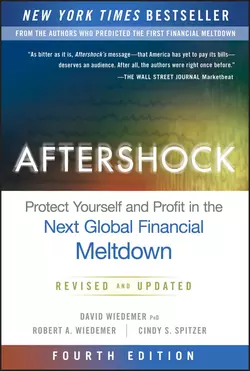 Aftershock. Protect Yourself and Profit in the Next Global Financial Meltdown, David Wiedemer