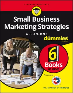 Small Business Marketing Strategies All-In-One For Dummies Consumer Dummies