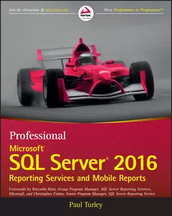 Professional Microsoft SQL Server 2016 Reporting Services and Mobile Reports, Paul Turley