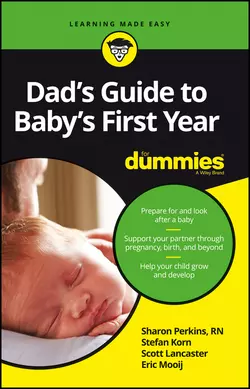 Dad′s Guide to Baby′s First Year For Dummies, Sharon Perkins