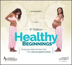 Healthy Beginnings. Giving Your Baby the Best Start  from Preconception to Birth Jennifer Blake и Nan Schuurmans