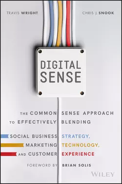 Digital Sense. The Common Sense Approach to Effectively Blending Social Business Strategy, Marketing Technology, and Customer Experience, Brian Solis