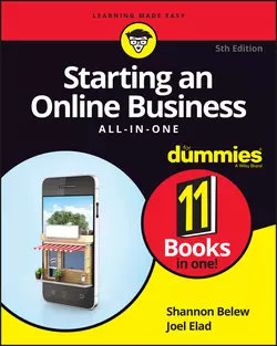 Starting an Online Business All-in-One For Dummies, Joel Elad