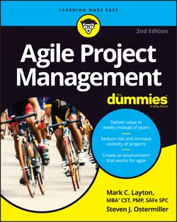 Agile Project Management For Dummies, Steven Ostermiller