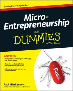 Micro-Entrepreneurship For Dummies Paul Mladjenovic