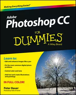 Photoshop CC For Dummies Peter Bauer