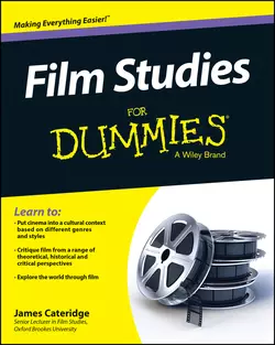 Film Studies For Dummies, James Cateridge