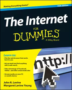 The Internet For Dummies, John Levine