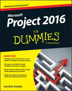 Project 2016 For Dummies, Cynthia Snyder Dionisio