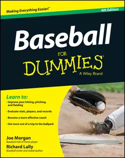 Baseball For Dummies, Richard Lally