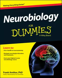 Neurobiology For Dummies, Frank Amthor