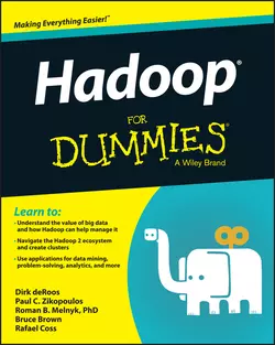 Hadoop For Dummies, Dirk deRoos