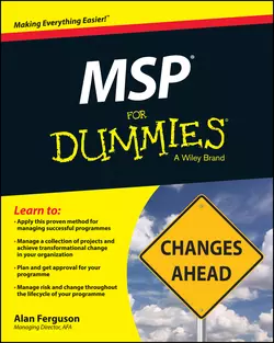 MSP For Dummies Alan Ferguson