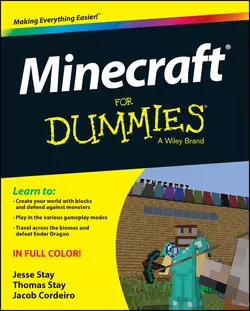 Minecraft For Dummies, Jesse Stay