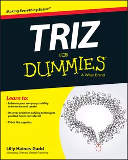 TRIZ For Dummies, Lilly Haines-Gadd