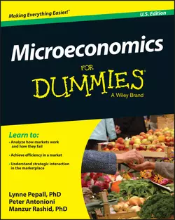 Microeconomics For Dummies, Peter Antonioni