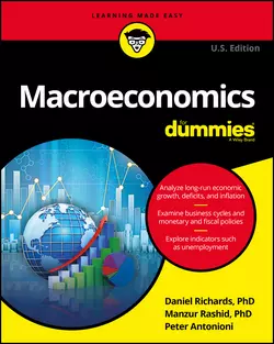 Macroeconomics For Dummies, Peter Antonioni