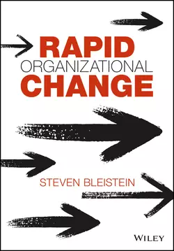 Rapid Organizational Change, Steven Bleistein