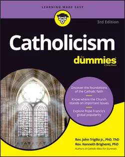 Catholicism For Dummies, John Trigilio