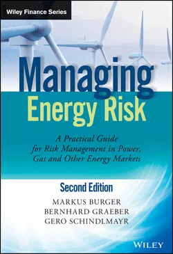 Managing Energy Risk. An Integrated View on Power and Other Energy Markets, Markus Burger