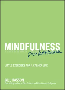 Mindfulness Pocketbook. Little Exercises for a Calmer Life, Джил Хессон