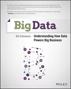 Big Data. Understanding How Data Powers Big Business, Bill Schmarzo