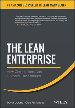 The Lean Enterprise. How Corporations Can Innovate Like Startups Trevor Owens и Obie Fernandez