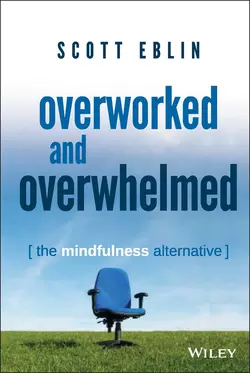 Overworked and Overwhelmed. The Mindfulness Alternative, Scott Eblin