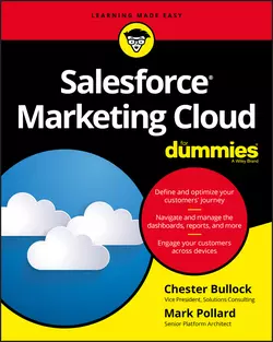 Salesforce Marketing Cloud For Dummies, Mark Pollard