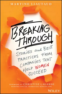 Breaking Through. Stories and Best Practices From Companies That Help Women Succeed, Martine Liautaud