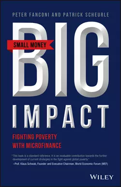 Small Money Big Impact. Fighting Poverty with Microfinance, Patrick Scheurle