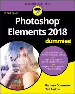 Photoshop Elements 2018 For Dummies, Barbara Obermeier