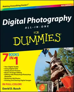 Digital Photography All-in-One Desk Reference For Dummies David Busch