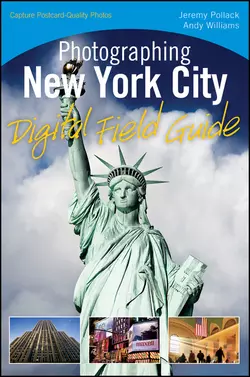 Photographing New York City Digital Field Guide Andy Williams и Jeremy Pollack