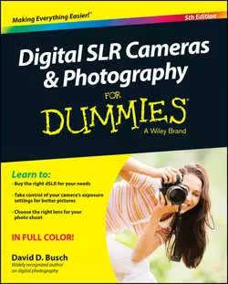 Digital SLR Cameras and Photography For Dummies, David Busch