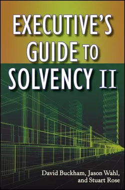 Executive′s Guide to Solvency II, David Buckham