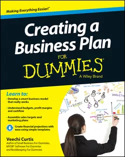 Creating a Business Plan For Dummies Veechi Curtis