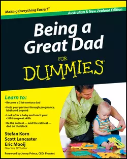 Being a Great Dad For Dummies Stefan Korn и Scott Lancaster