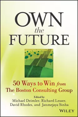 Own the Future. 50 Ways to Win from The Boston Consulting Group, David Rhodes