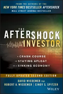 The Aftershock Investor. A Crash Course in Staying Afloat in a Sinking Economy, David Wiedemer