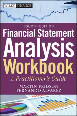 Financial Statement Analysis Workbook. A Practitioner′s Guide, Fernando Alvarez