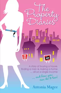 The Property Diaries. A Story of Buying a House, Finding a Man and Making a Home.. All on a Single Income!, Antonia Magee