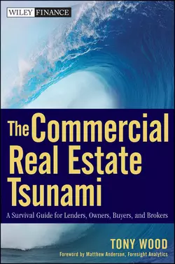 The Commercial Real Estate Tsunami. A Survival Guide for Lenders, Owners, Buyers, and Brokers, Tony Wood