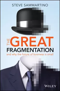 The Great Fragmentation. And Why the Future of Business is Small, Steve Sammartino